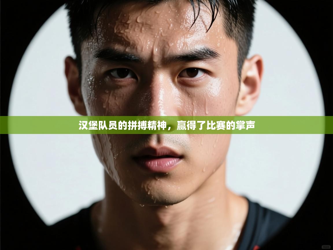 汉堡队员的拼搏精神，赢得了比赛的掌声  第1张