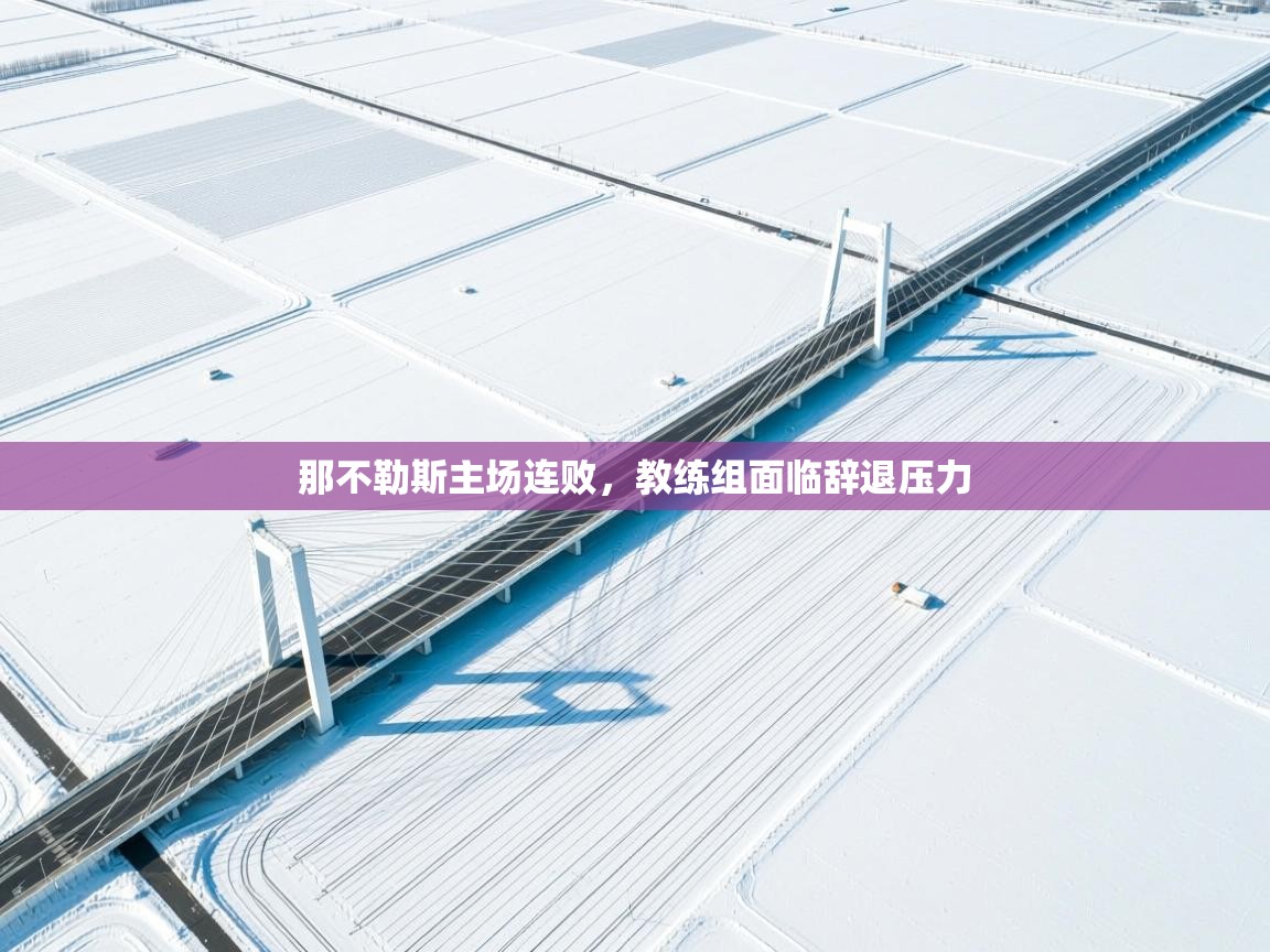 那不勒斯主场连败,教练组面临辞退压力 第1张