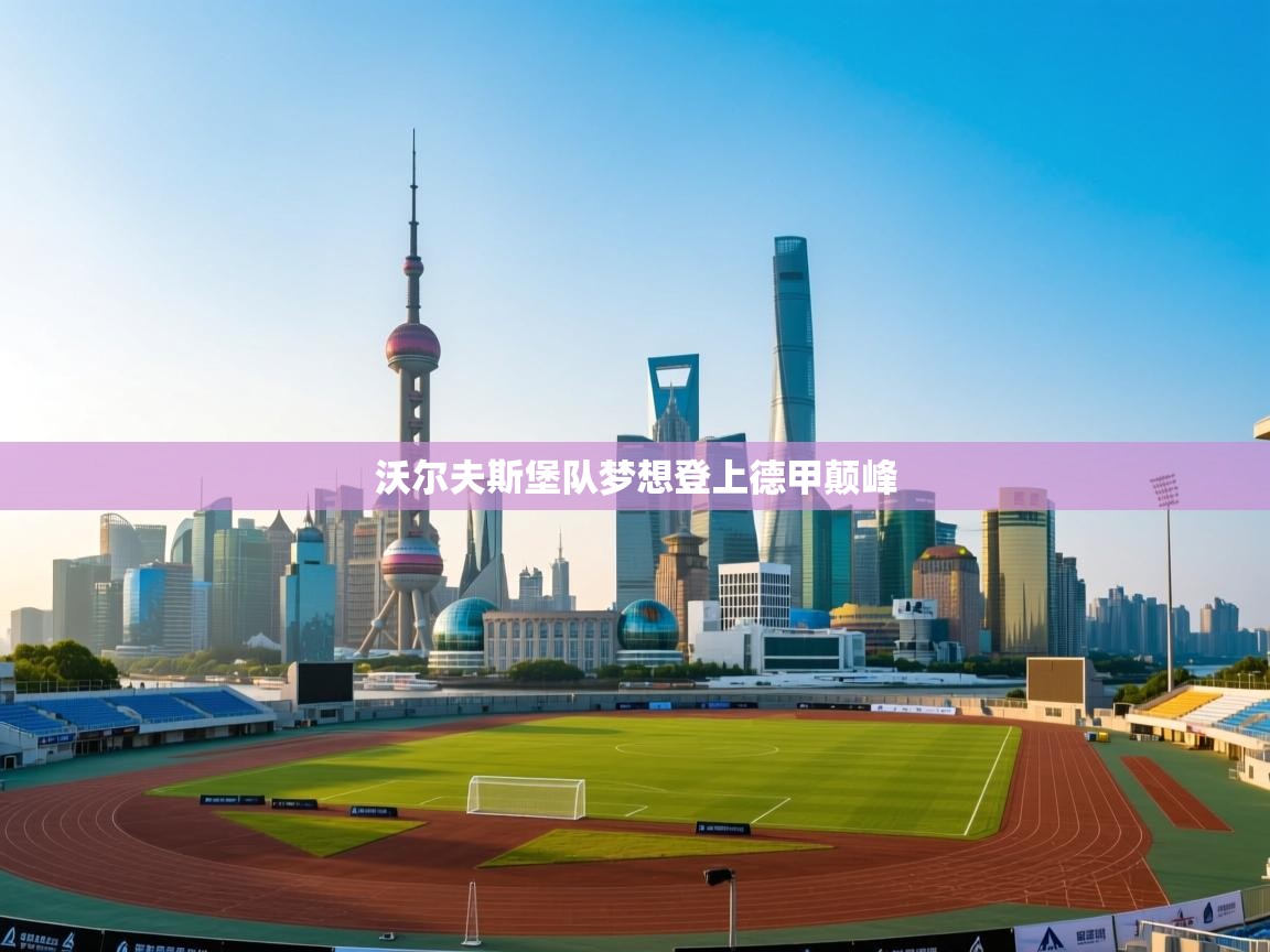 沃尔夫斯堡队梦想登上德甲颠峰 第1张