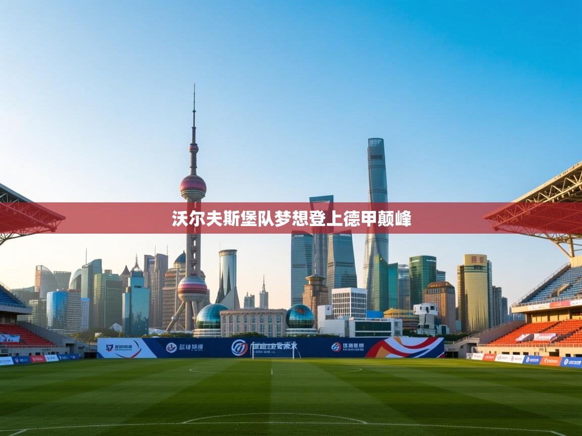 沃尔夫斯堡队梦想登上德甲颠峰 第2张