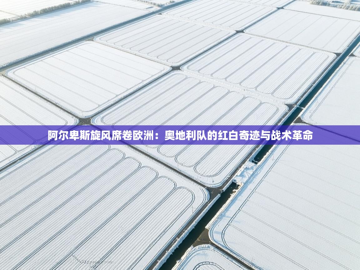 阿尔卑斯旋风席卷欧洲：奥地利队的红白奇迹与战术革命  第2张