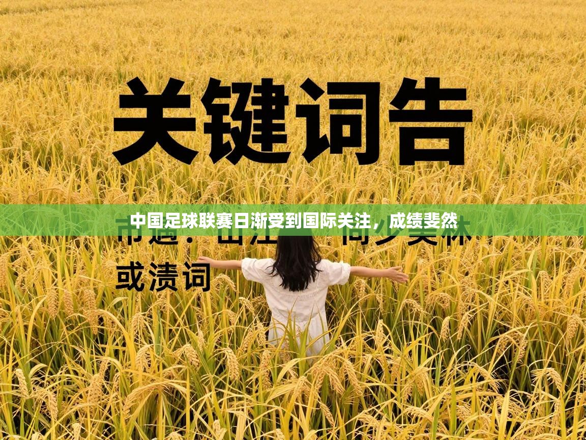 中国足球联赛日渐受到国际关注,成绩斐然 第1张